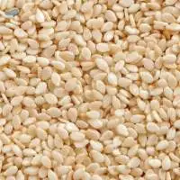 Processed Dried Sesame Seed For Wholesale Import