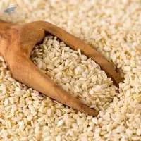 High Quality Organic Sesame Seeds