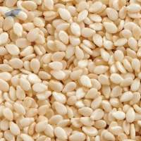 Good Quality Sesame Seeds