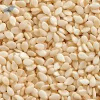 Good Quality Sesame Seeds