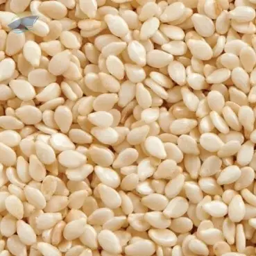 Good Quality Sesame Seeds