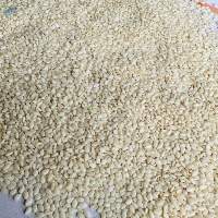 White Sesame Seeds