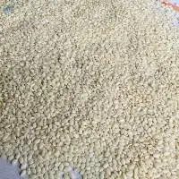 White Sesame Seeds