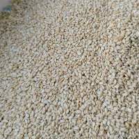 Premium Hulled White Sesame Seeds
