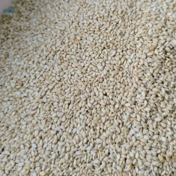 Premium Hulled White Sesame Seeds
