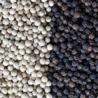 Premium Quality Black Pepper
