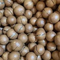 Fresh Macadamia Nuts