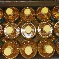 Pure Refined Canola Oil Rapeseed Oil for Sale