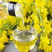 Top Quality Refined Rapeseed Oil for Sale
