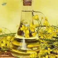 Refined Canola Oil For Sale