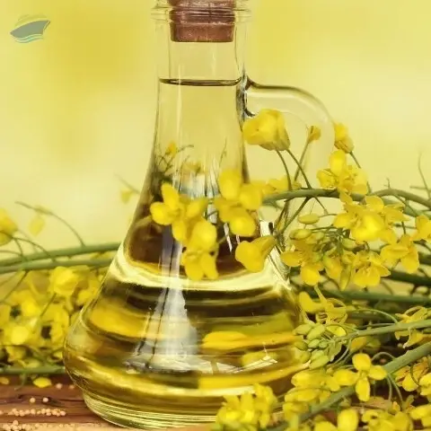 Refined Canola Oil For Sale