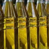 Refined Canola Oil for Cooking and Frying