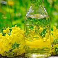 Crude & Premium Rapeseed Oil for Cooking