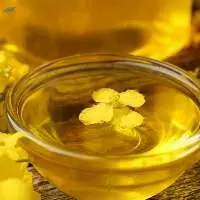 Pure Refined Canola Oil For Sale