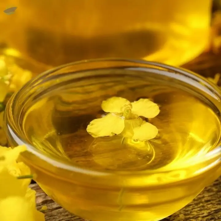 Pure Refined Canola Oil For Sale