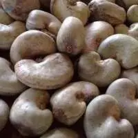 Raw Cashew Nuts