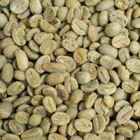 Green Coffee Beans