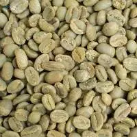Green Coffee Beans