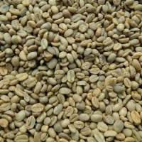 Robusta Green Beans