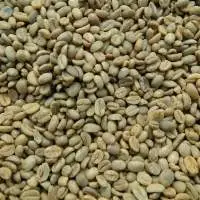 Robusta Green Beans