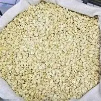 Non-GMO White Yellow Maize