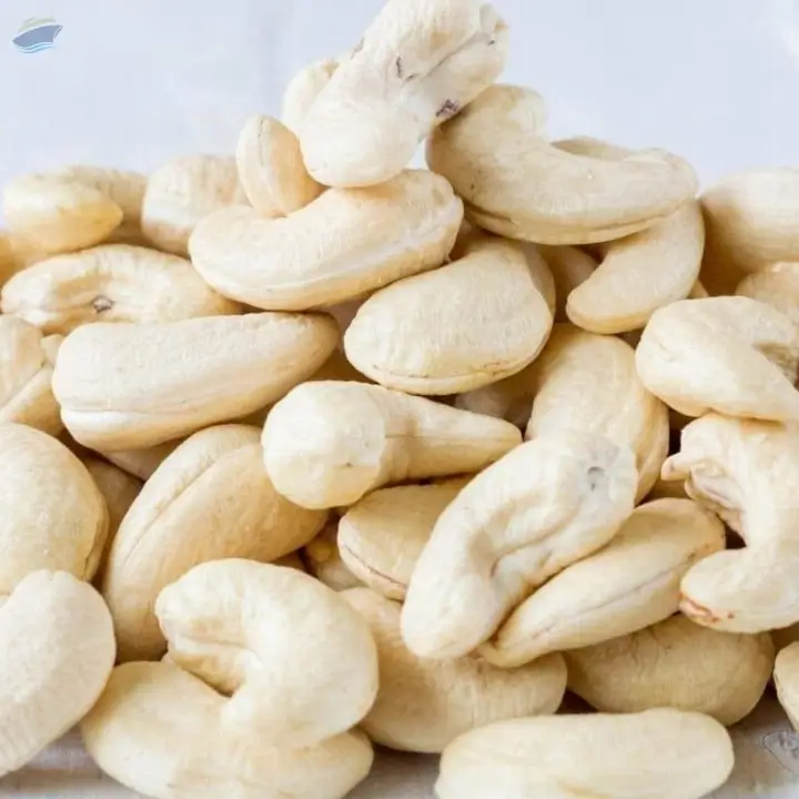 Cashew Nuts W450 And W320