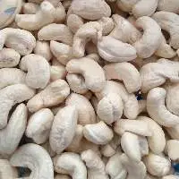 Processed Organic Cashew Nuts