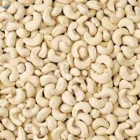 Raw Export Quality Cashew Nuts
