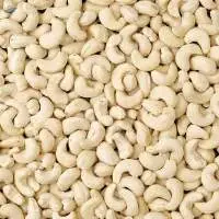 Raw Export Quality Cashew Nuts
