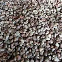 Raw Unshelled Cashew Nuts