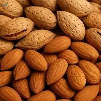 Almond Nuts 