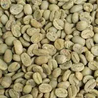 Robusta / Arabica Coffee beans for sale