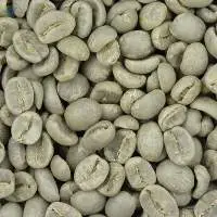 Arabica Coffee Beans