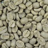 Wholesaler Arabica Roasted coffee beans