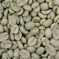 Wholesaler Arabica Roasted coffee beans