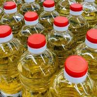 Rapeseed Oil 