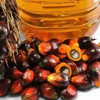 RBD Palm Olein Oil