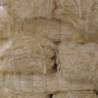Natural White Ug Sisal Fiber