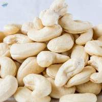 Cashew Nuts & Kernels WW240 WW320 WW450 SW24