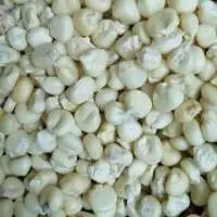Corn, Yellow Corn, White Corn