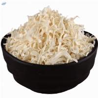 Premium Dehydrated White Onion Kibbled