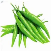Premium Quality Fresh Chilli For Export 