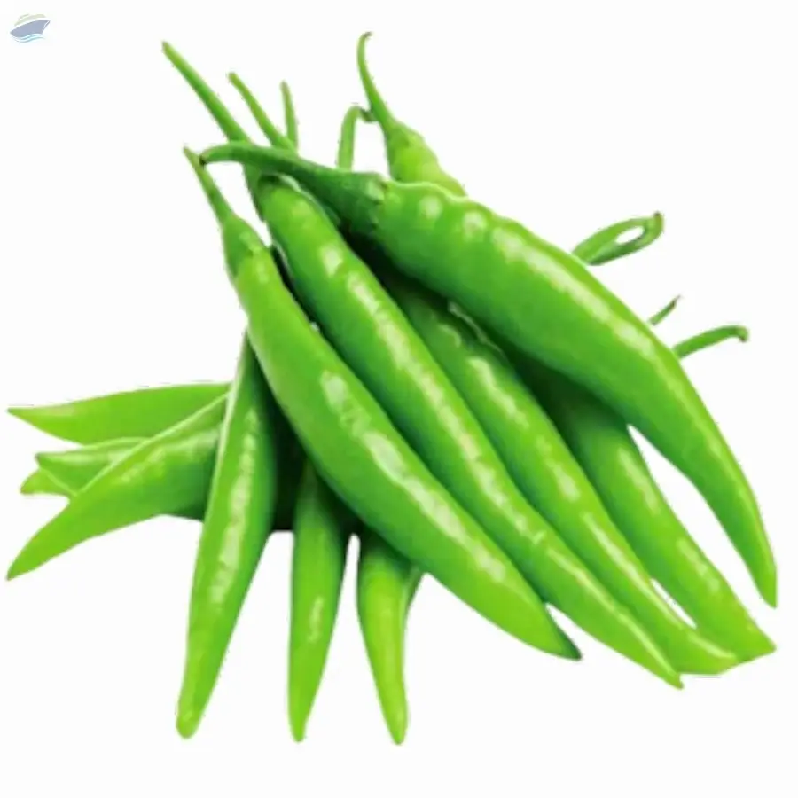 Premium Quality Fresh Chilli For Export 