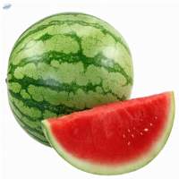 Premium Export Quality Fresh Watermelon