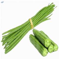 Premium Quality Fresh Drumstick Pods For Export