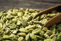 Cardamom