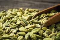 Cardamom
