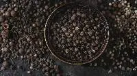 Black Pepper