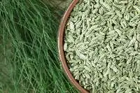 Fennel Seeds