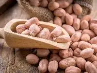 Groundnut